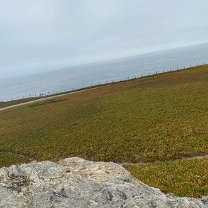 Meet your Posher, Camille zane